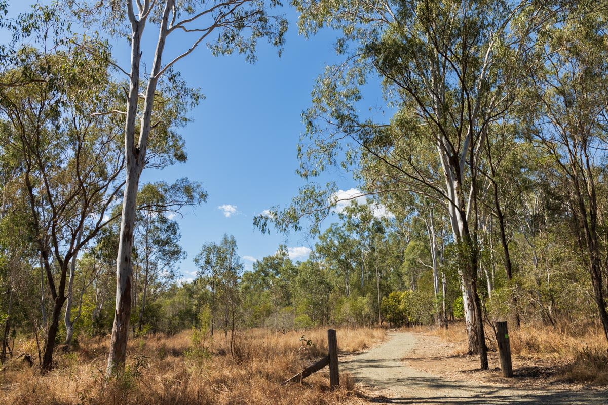 Explore Our Region Gin Gin Nature Park Bundaberg Now Delivers Free