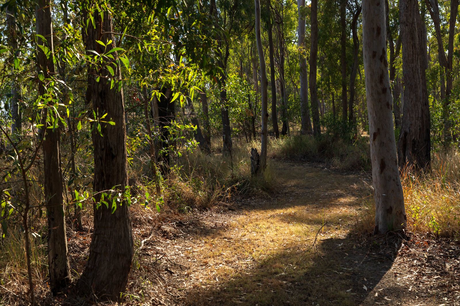 Explore our region Avondale Reserve Bundaberg Now delivers free good