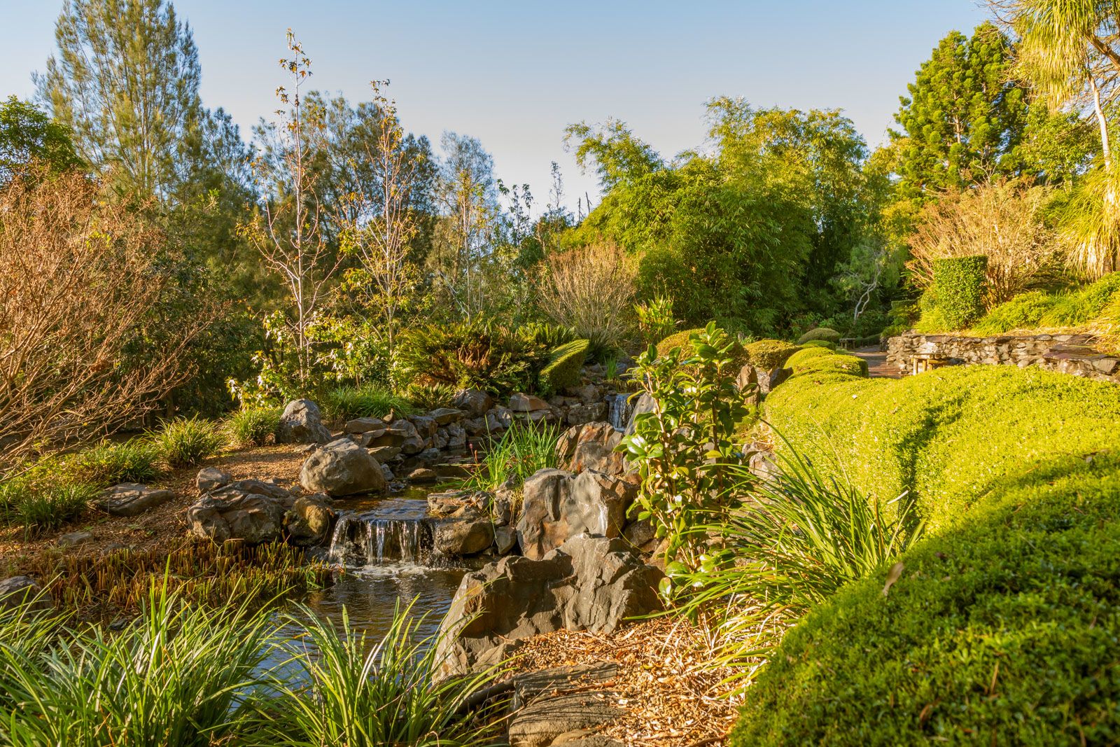 Explore Our Region: Japanese Garden At Bundaberg Botanic Gardens ...