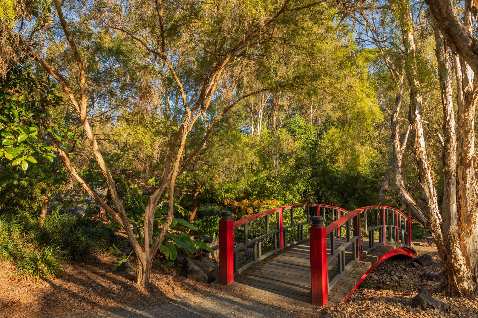 explore-our-region-japanese-garden-at-bundaberg-botanic-gardens-brc