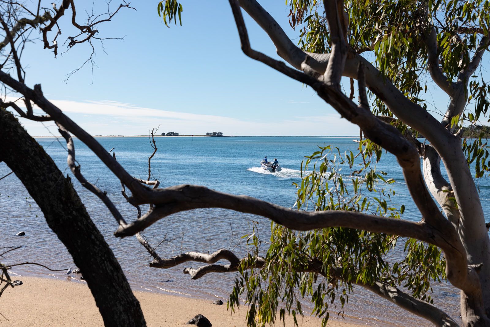 Explore our region Riverview Park Bundaberg Now delivers free good news
