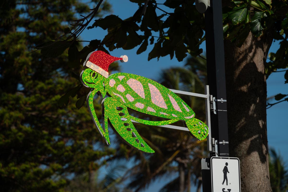 Weekender Halstead family to turn on Christmas lights Bundaberg Now